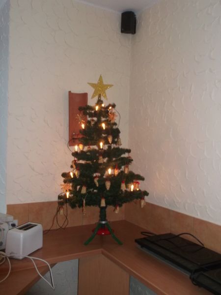 DSCF5142