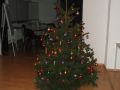 DSCF5146